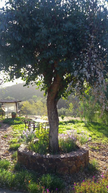 昆塔玛丽亚恩鲁塔拉维诺住宿加早餐旅馆 瓜达鲁佩镇 外观 照片